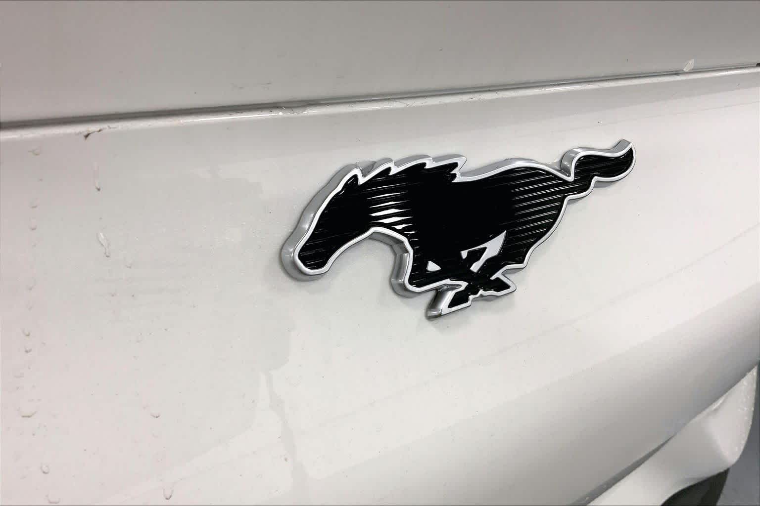 2026 Ford Mustang Mach-E