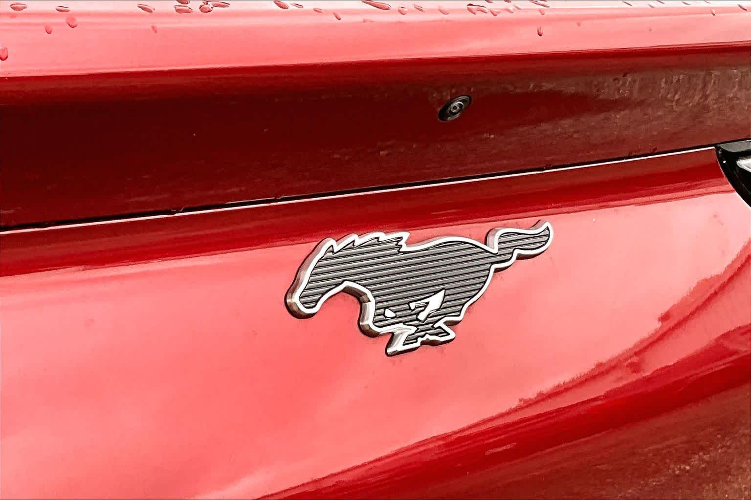 2025 Ford Mustang Mach-E