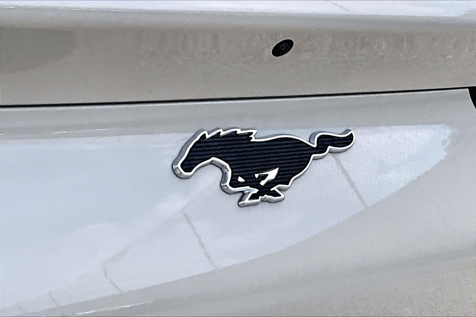 2025 Ford Mustang Mach-E