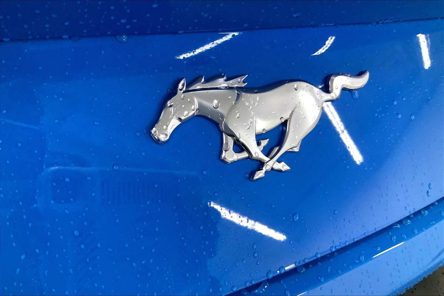 2025 Ford Mustang