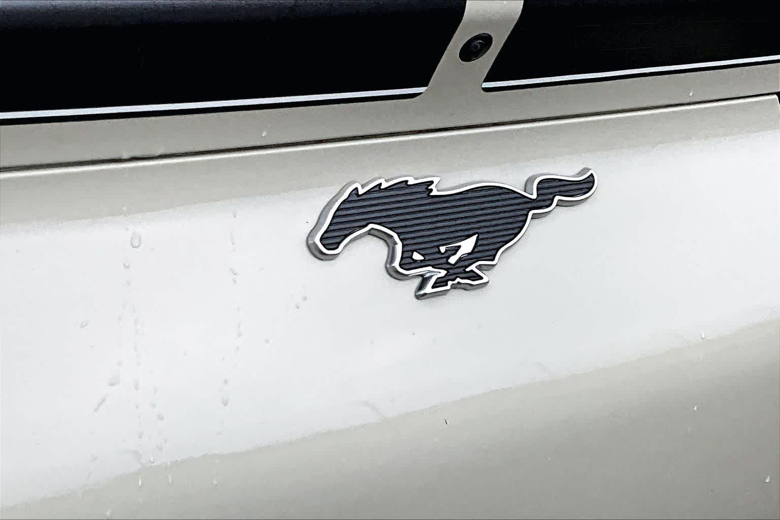 2025 Ford Mustang Mach-E