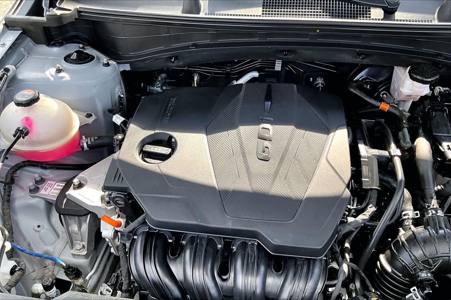 2024 Kia Sportage